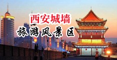 搞鸡巴网站免费视频中国陕西-西安城墙旅游风景区